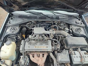авто чегол: Toyota Carina E: 1995 г., 1.6 л, Механика, Бензин, Хэтчбэк — 4