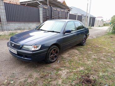 тойота корола 2005: Toyota Corona: 1997 г., 1.6 л, Автомат, Бензин, Седан