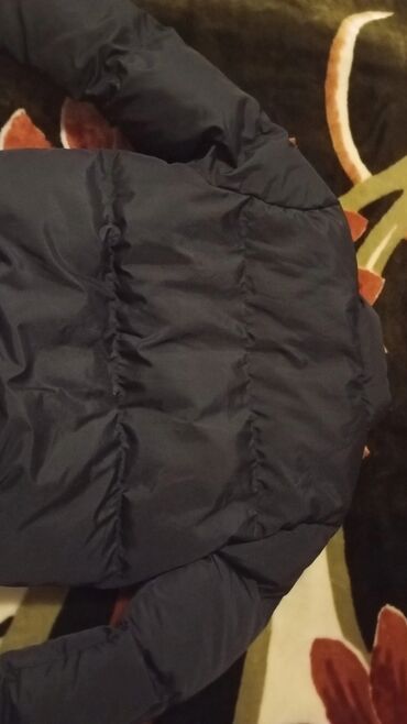 Kurtkalar: Kurtka, Bolonka, Qış, Lacoste, S — 3