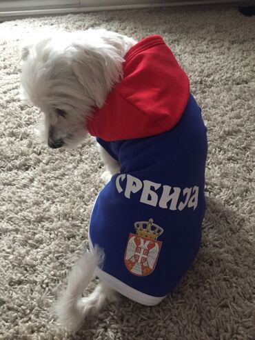 Oprema za kućne ljubimce: Srbija duks za pse ~ Po meri ~ NOVO Jedino kod nas možete da nabavite