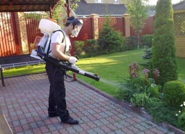 Другие услуги: Обрезка изгороди хвойных деревьев плодовых деревьев Весной Обработка — 15