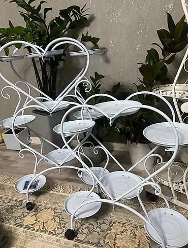 Диффенбахии: Комнатные растения в декоративных горшках - Диффенбахия крупнолистная — 60