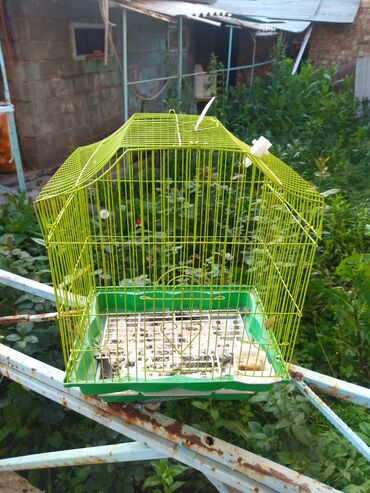 Зоотовары: Клетка для птицотдадим за тортик