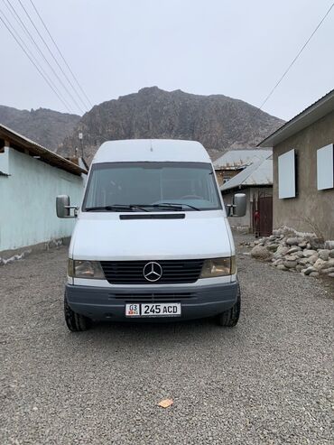 Mercedes-Benz: Mercedes-Benz Sprinter: 1995 г., 2.9 л, Механика, Дизель, Бус