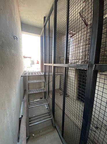 Сварка: Сварка | Ворота, Решетки на окна, Навесы Гарантия, Бесплатная смета, Высотные работы at lalafo.kg — 8 Сварка: Сварка | Ворота, Решетки на окна, Навесы Гарантия, Бесплатная смета, Высотные работы — 8