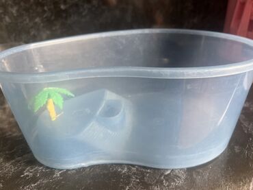 Balaca tısbağalar ücünŞəffaf mavi rəngli plastik 32 sm uzunluğunda qab