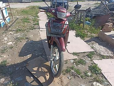 мопед alpha: Скутер-куб Honda (тип Cub/Alpha), бордовый цвет. Характеристики и — 3