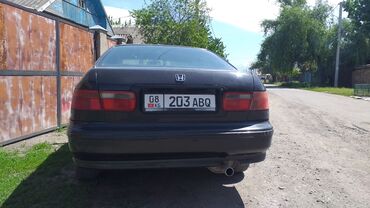 Honda Accord: 1993 г., 2 л, Механика, Бензин