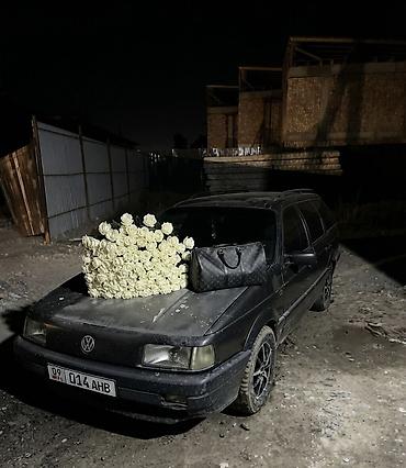 pass: Volkswagen Passat Variant: 1988 г., 1.8 л, Механика, Бензин, Универсал — 8