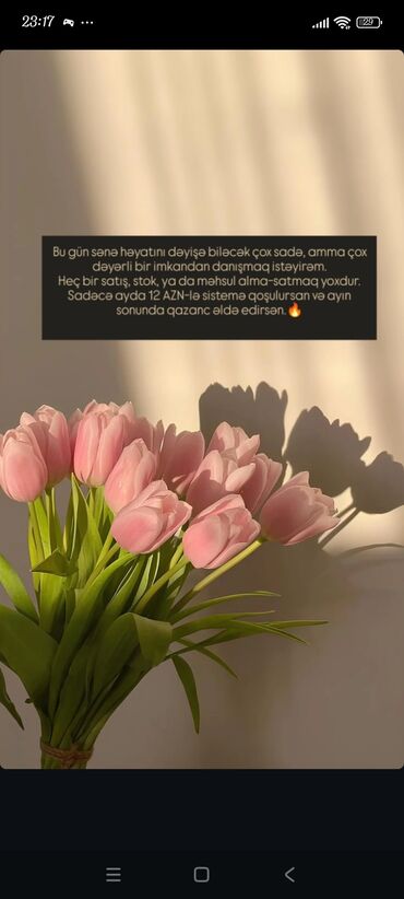 İş axtarıram (rezümelər): SMM menecer tələb olunur, İstənilən yaş, Təcrübəsiz