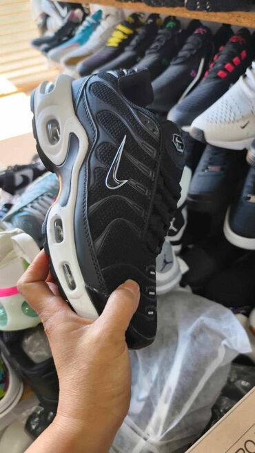 Patike: NIke air max tn patike

Novo
Brojevi 36 do 46

fb Moja Kupovina 1 — 9