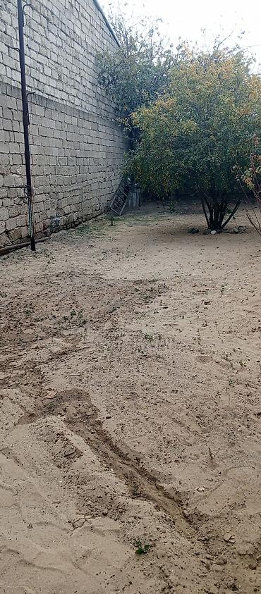 yeni güneşlide: 2 sot, Kənd təsərrüfatı, Mülkiyyətçi, Kupça (Çıxarış) — 5