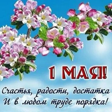 Отдам даром собаку: Собака даром: Дворняжка, 1 месяц, Самец