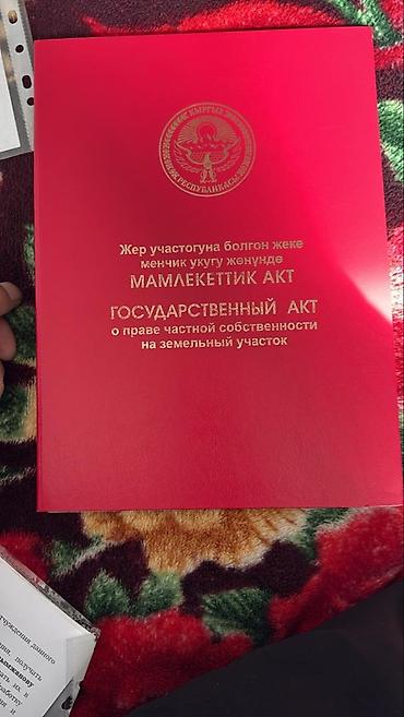 Жер тилкелери: 4 соток, Кызыл китеп — 1