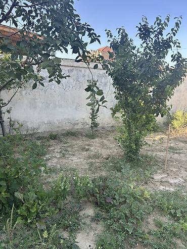 Həyət evləri və villaların satışı: 7 otaqlı, 185 kv. m — 11