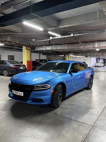 dodge challanger: Dodge Challenger: 2019 г., 3.6 л, Автомат, Бензин, Седан — 6