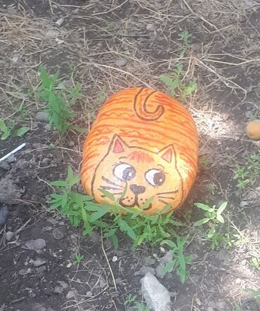 Декоративная роспись: Распишин все что захотите — 3