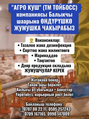 работа на 2 часа в бишкеке: "АГРО КУШ" (ТМ ТОЙБОСС) компаниясы Балыкчы шаарына ӨНДҮРҮШКӨ ЖУМУШКА