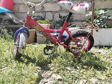 velosiped 28 type 1: Uşaq velosipedi – “Salute” modeli Xüsusiyyətlər: - Təxminən 12 düym — 1