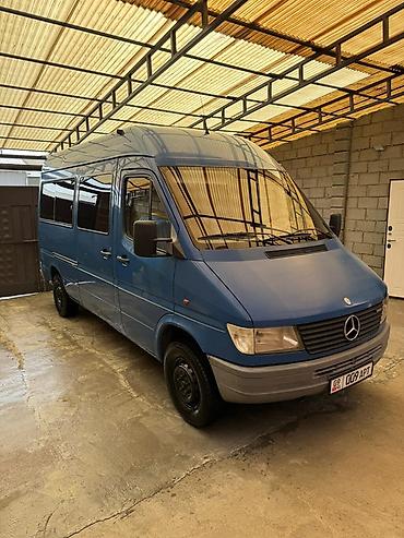 Mercedes-Benz: Mercedes-Benz Спринтер: 1995 г., Фургон — 1