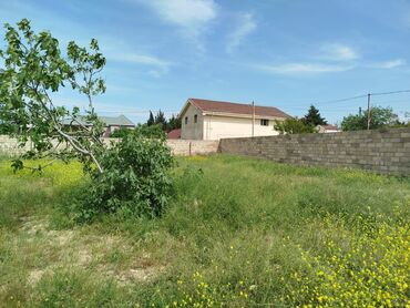 Torpaq sahələrinin satışı: 12 sot, Tikinti, Maklerlər narahat etməsin, Kupça (Çıxarış)