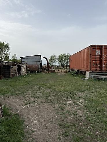орошаемое земля: Продаётся участок с хоз двором в городе Каракол, улица Масанчы, свет — 7