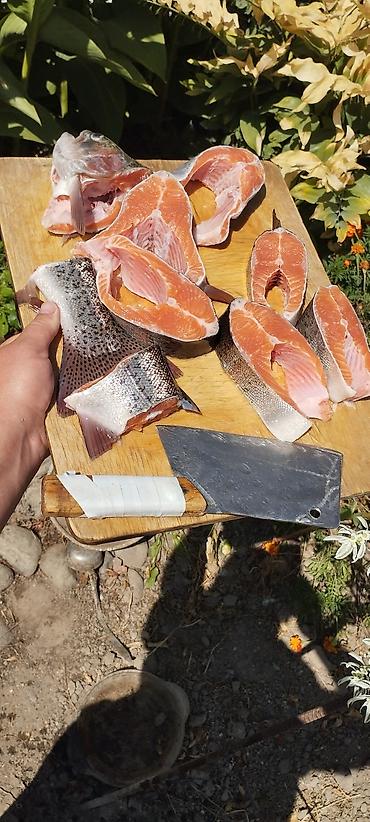 Другая рыбная продукция: Продаю холодного и горячего копчения Форель, домашнего приготовления — 6