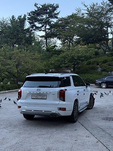 go park: Hyundai Palisade: 2021 г., Кроссовер — 4