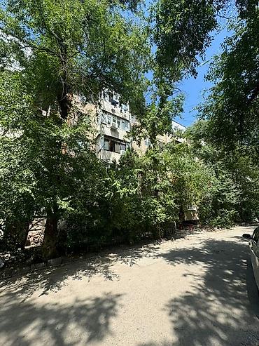 3 3: 3 комнаты, 58 м², Индивидуалка, 3 этаж, Косметический ремонт — 8