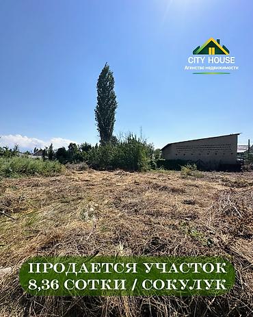1 bedroom: 8 соток, Для строительства, Договор купли-продажи, Красная книга — 1