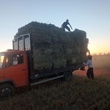 спринтер выкуп: Грузовик, Mercedes-Benz, Стандарт, 7 т, Б/у — 5