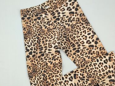 coccodrillo bielizna: Legginsy dziecięce, H&M, 14 lat, 164, stan - Idealny