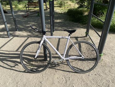 Шоссейные велосипеды: Продаю фикс – Justin Ergonomic Fixie Стильный, лёгкий и надёжный