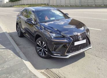 runx alex: Lexus NX: 2018 г., 2 л, Автомат, Бензин, Кроссовер