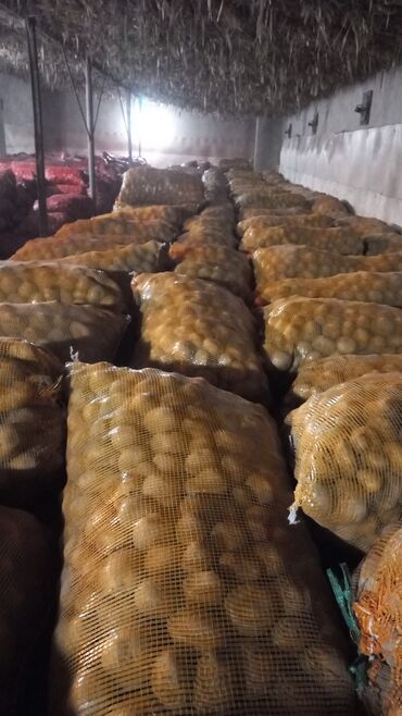 Картошка: Картошка Пикассо — 8