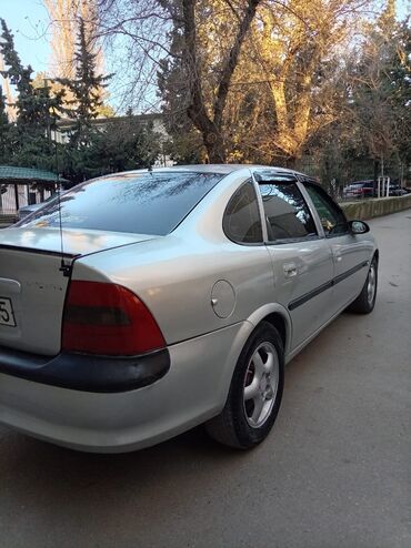 Opel: Opel Vectra: 2 l | 1998 il 210009 km Sedan — 10