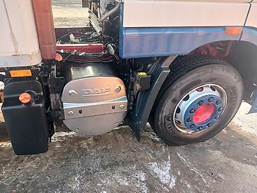 Тягачи: Тягач, DAF, 2012 г., Холодильник, рефрижератор — 4