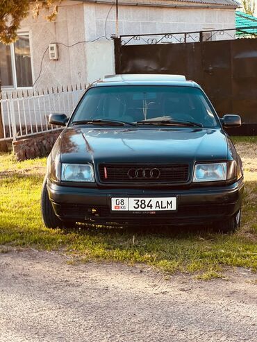 мухабойка на ауди: Audi 100: 1991 г., 2.3 л, Механика, Газ, Седан
