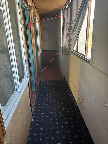 Продажа коттеджей и домов: Дом с участком - Участок с огородом: подготовленные грядки, плодовые — 22