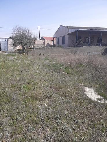 gen: 11 sot, Tikinti, Makler, Kupça (Çıxarış) — 3