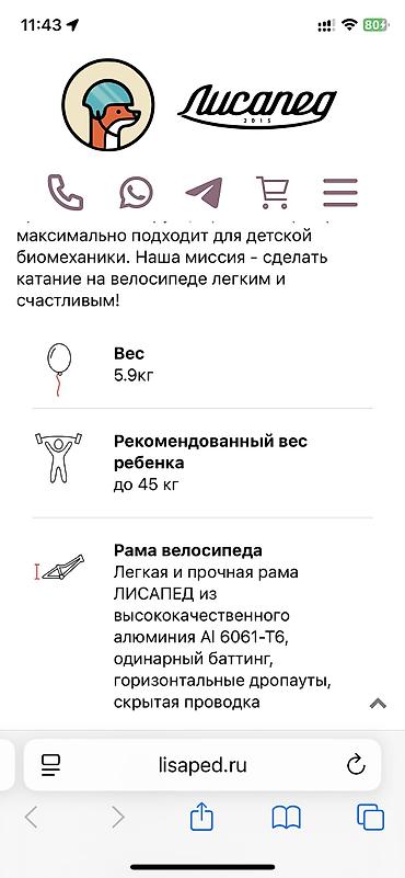 лисан: Детский велосипед, 2-колесный, 4 - 6 лет, Б/у — 5