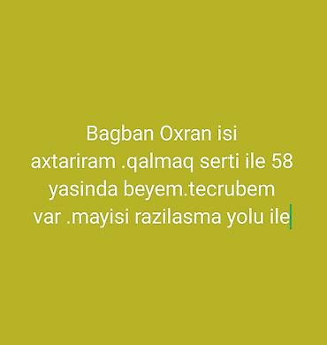 heyvan baxicisi vakansiya: Bağban və mühafizə işi axtarıram. Qalmaq şərti ilə. 58 yaşındayam — 1