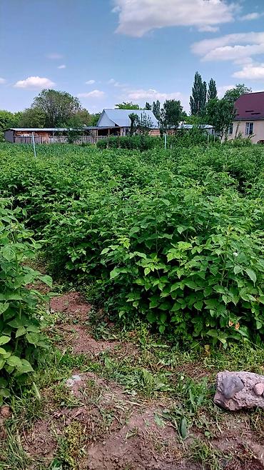 Продажа коттеджей и домов: Продаетьсядом новый с большим участком 12.6соток участок квадратный — 25