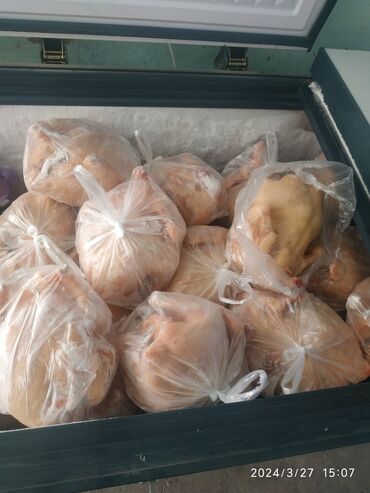 Мясо, рыба, птица: Продается домашние бролерные куры вес от 2.5 до 3.5 кг кг, Доставка