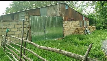 Torpaq sahələrinin satışı: Kənd təsərrüfatı — 8