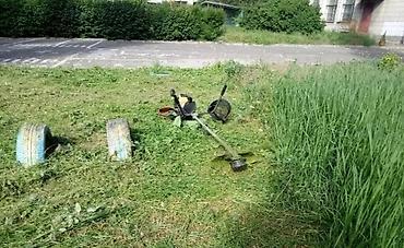 Другие услуги: Садовник! Стрижка изгороди! Улуги садовника. Наши услуги: Обработка — 9