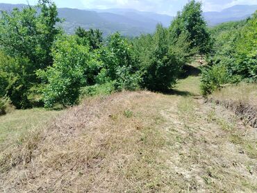 Torpaq sahələrinin satışı: Tikinti — 23