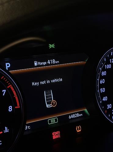 black edition: Hyundai Genesis: 2019 г., 2 л, Бензин, Седан — 7