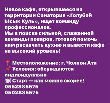 шивея сокулук: Талап кылынат Ашпозчу Тажрыйбасы 5 жылдан жогору