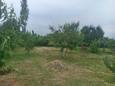 Həyət evləri və villaların satışı: 2 otaqlı, 60 kv. m, Kredit var, Orta təmir — 3